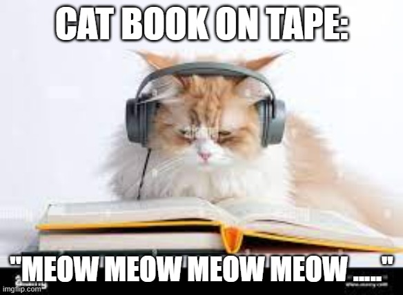 meme by Brad cat audio book | CAT BOOK ON TAPE:; "MEOW MEOW MEOW MEOW ....." | image tagged in cats,funny cat memes,humor,books,funny meme,funny | made w/ Imgflip meme maker