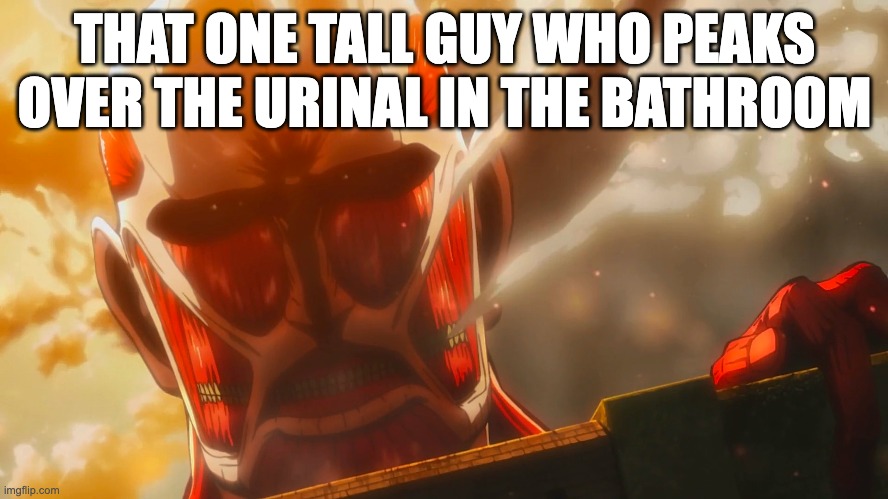 colossal titan memes | THAT ONE TALL GUY WHO PEAKS OVER THE URINAL IN THE BATHROOM | image tagged in attack on titan | made w/ Imgflip meme maker