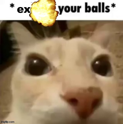 Explodes Your Balls | image tagged in explodes your balls | made w/ Imgflip meme maker