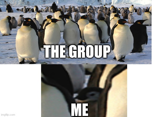 meme time | THE GROUP; ME | image tagged in funny,relatable | made w/ Imgflip meme maker