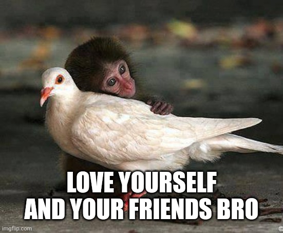 Love yourself | LOVE YOURSELF AND YOUR FRIENDS BRO | image tagged in love yourself | made w/ Imgflip meme maker