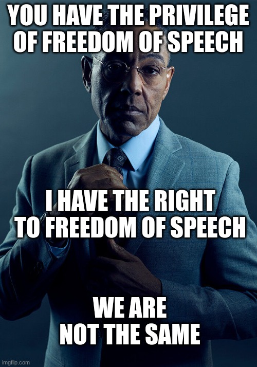 Gus Fring we are not the same | YOU HAVE THE PRIVILEGE OF FREEDOM OF SPEECH; I HAVE THE RIGHT TO FREEDOM OF SPEECH; WE ARE NOT THE SAME | image tagged in gus fring we are not the same | made w/ Imgflip meme maker