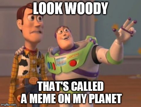 X, X Everywhere Meme | LOOK WOODY THAT'S CALLED A MEME ON MY PLANET | image tagged in memes,x x everywhere | made w/ Imgflip meme maker
