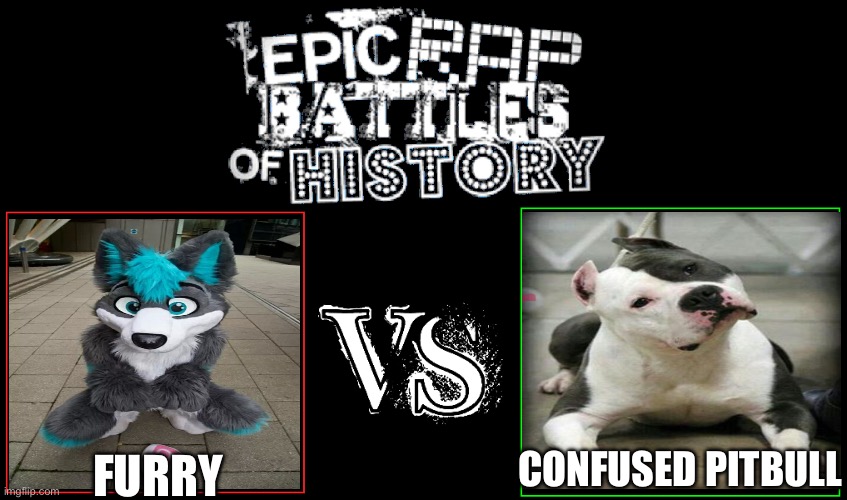 Epic Rap Battles of History | CONFUSED PITBULL; FURRY | image tagged in epic rap battles of history | made w/ Imgflip meme maker