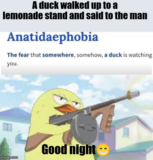 Ha ha, i'm in danger | A duck walked up to a lemonade stand and said to the man; Good night😁 | image tagged in duck,bye bye | made w/ Imgflip meme maker