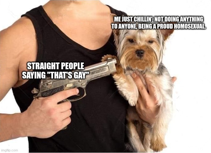 Why tho i'ts not even funny | ME JUST CHILLIN', NOT DOING ANYTHING TO ANYONE, BEING A PROUD HOMOSEXUAL. STRAIGHT PEOPLE SAYING "THAT'S GAY" | image tagged in dog hostage,gay | made w/ Imgflip meme maker