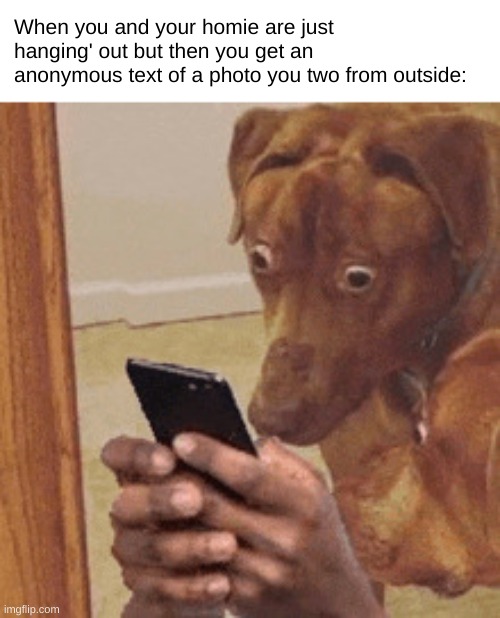 Horror movie type stuff | When you and your homie are just hanging' out but then you get an anonymous text of a photo you two from outside: | image tagged in dogs staring at phone in suprise | made w/ Imgflip meme maker