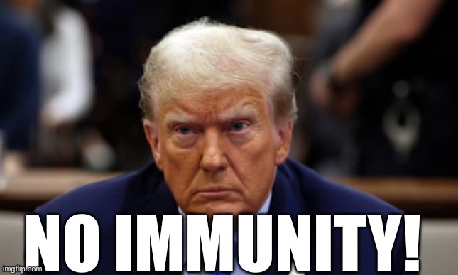 Trump is not immune in 2020 election interference case, appeals court rules. | NO IMMUNITY! | image tagged in donald trump,asshole,criminal,rapist,lock him up,trump is a moron | made w/ Imgflip meme maker