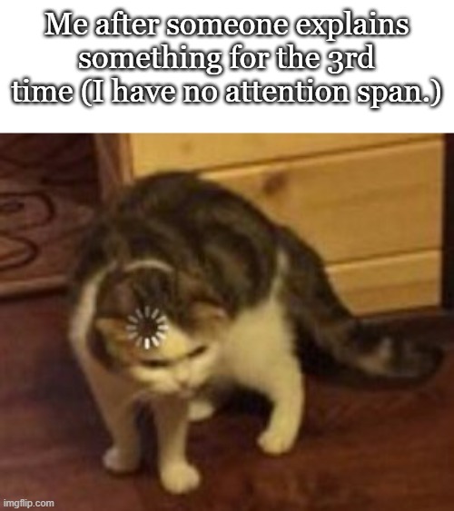 You need to pay attention | Me after someone explains something for the 3rd time (I have no attention span.) | image tagged in loading cat,funny,memes,meme,funny memes,relatable | made w/ Imgflip meme maker