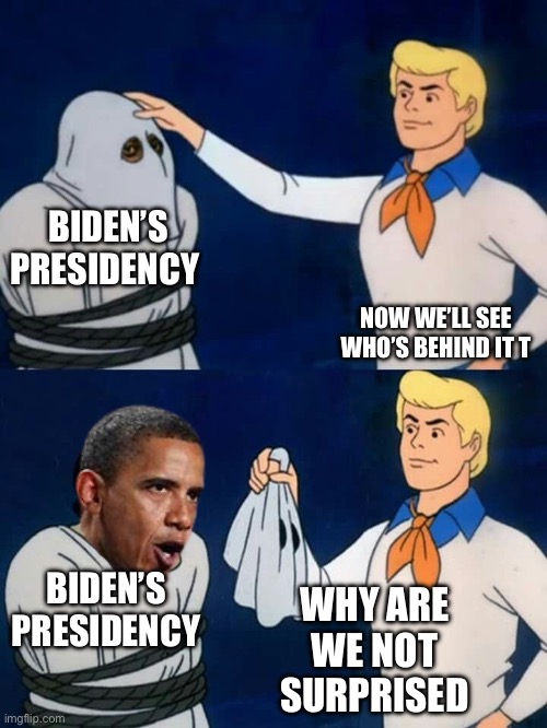 Scooby doo mask reveal | BIDEN’S PRESIDENCY; NOW WE’LL SEE WHO’S BEHIND IT T; BIDEN’S PRESIDENCY; WHY ARE WE NOT SURPRISED | image tagged in scooby doo mask reveal | made w/ Imgflip meme maker