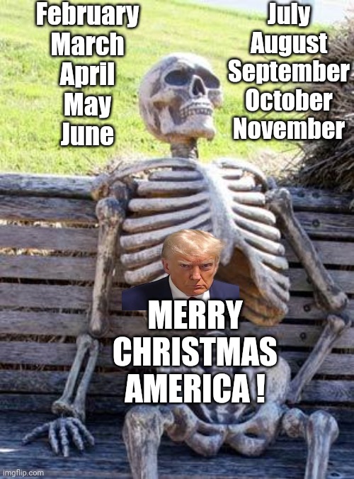 Waiting Skeleton | February
March
April
May
June; July
August
September
October
November; MERRY CHRISTMAS AMERICA ! | image tagged in memes,waiting skeleton | made w/ Imgflip meme maker