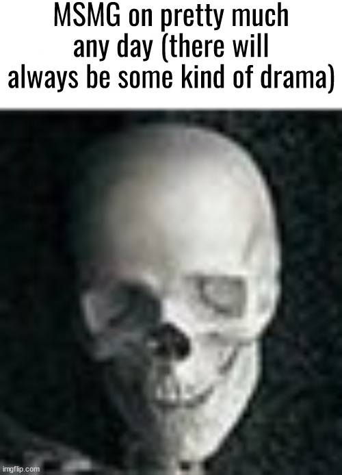 Skull | MSMG on pretty much any day (there will always be some kind of drama) | image tagged in skull | made w/ Imgflip meme maker