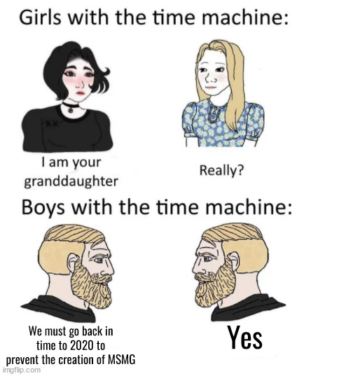 woman vs man time travel | We must go back in time to 2020 to prevent the creation of MSMG; Yes | image tagged in woman vs man time travel | made w/ Imgflip meme maker