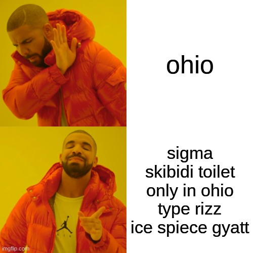 pov: drake sigma | ohio; sigma skibidi toilet only in ohio type rizz ice spiece gyatt | image tagged in memes,drake hotline bling | made w/ Imgflip meme maker