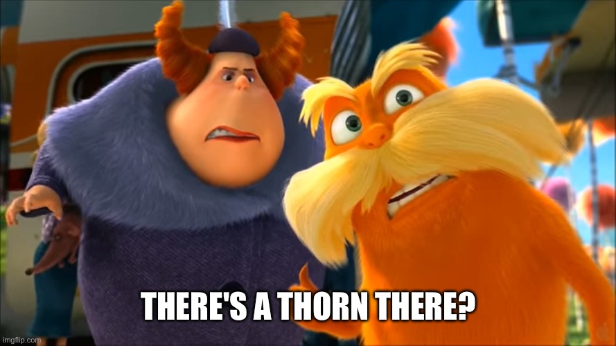 Lorax That's A Woman | THERE'S A THORN THERE? | image tagged in lorax that's a woman | made w/ Imgflip meme maker