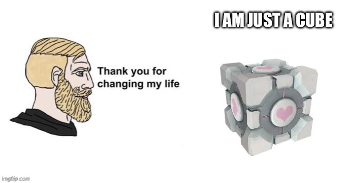 Companion cube | I AM JUST A CUBE | image tagged in thank you for changing my life | made w/ Imgflip meme maker
