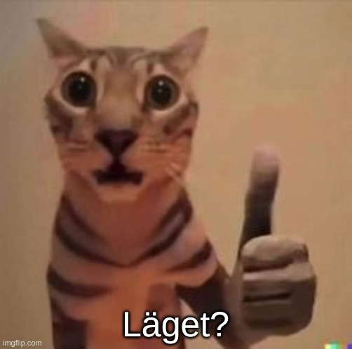 katt | Läget? | image tagged in katt | made w/ Imgflip meme maker