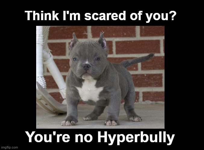 Hyperbully | Think I'm scared of you? You're no Hyperbully | image tagged in blank black,puns,dogs | made w/ Imgflip meme maker