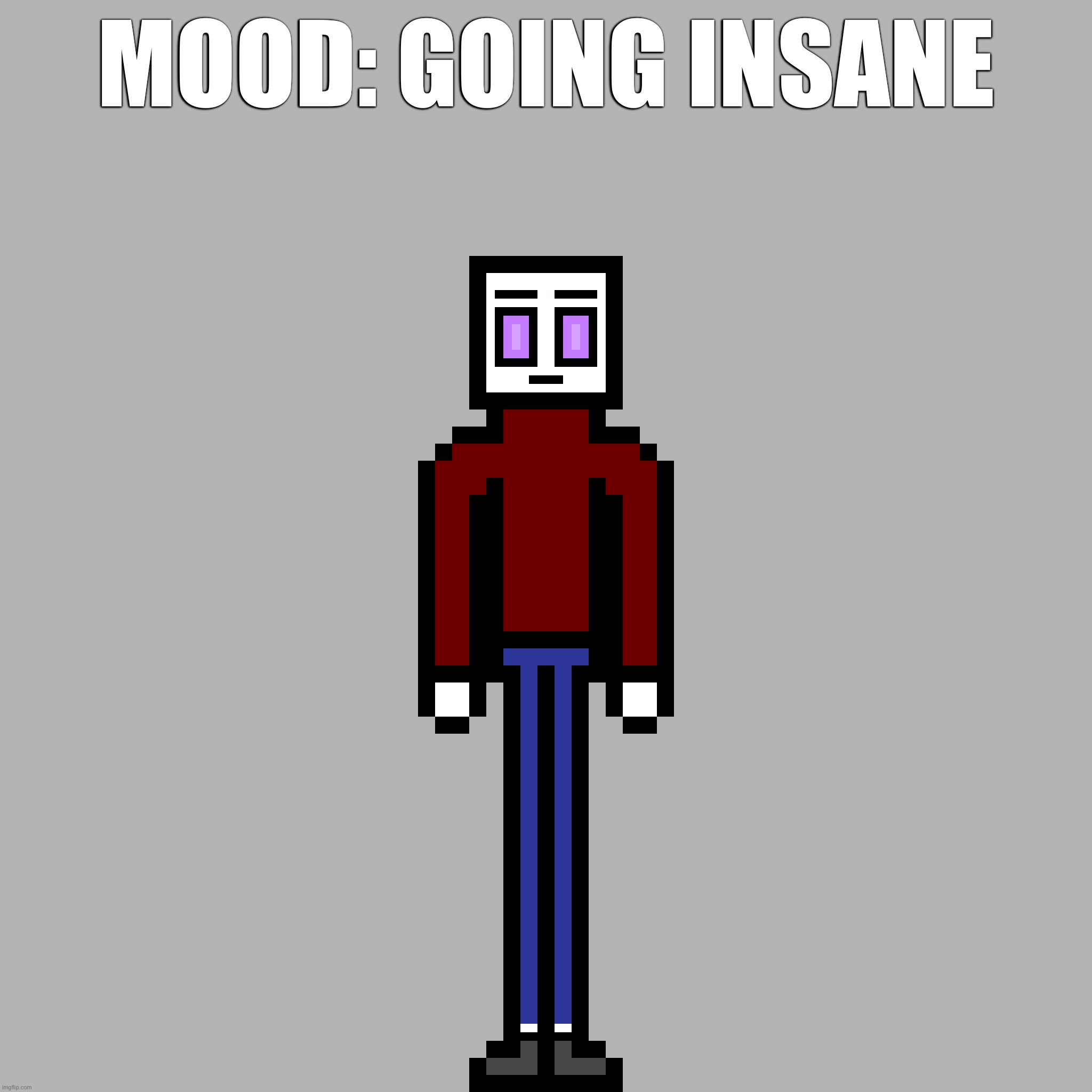MOOD: GOING INSANE | made w/ Imgflip meme maker