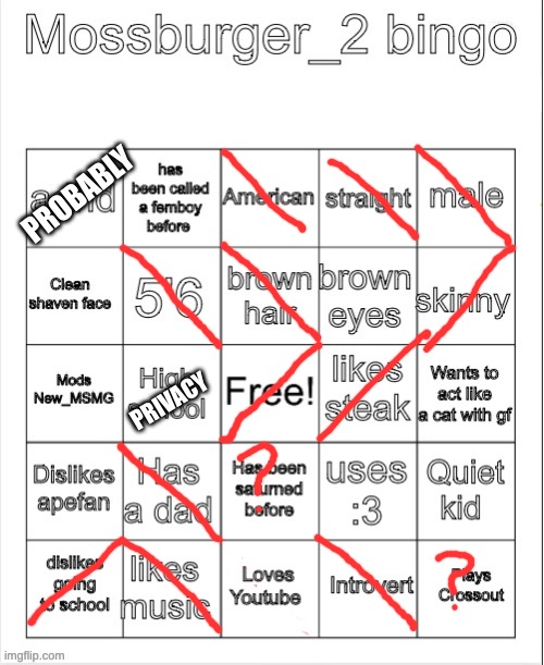 Mossburger_2 bingo | PROBABLY; PRIVACY | image tagged in mossburger_2 bingo | made w/ Imgflip meme maker