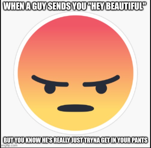 Hey beautiful | WHEN A GUY SENDS YOU "HEY BEAUTIFUL"; BUT YOU KNOW HE'S REALLY JUST TRYNA GET IN YOUR PANTS | image tagged in facebook angry emoji | made w/ Imgflip meme maker