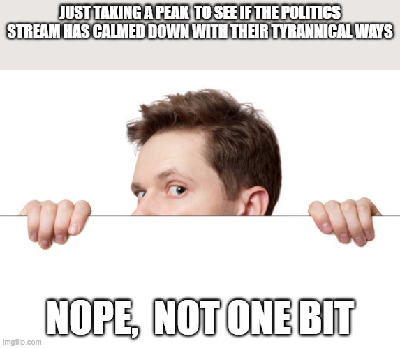 Figures. | JUST TAKING A PEAK  TO SEE IF THE POLITICS STREAM HAS CALMED DOWN WITH THEIR TYRANNICAL WAYS; NOPE,  NOT ONE BIT | image tagged in tyranny,democrats,politics,stream | made w/ Imgflip meme maker