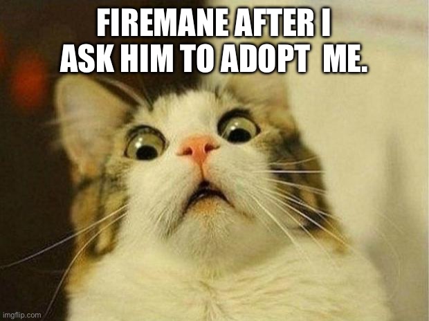 hes some one imet in vrc | FIREMANE AFTER I ASK HIM TO ADOPT  ME. | image tagged in memes,scared cat | made w/ Imgflip meme maker