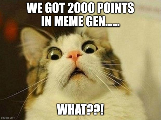 Guys lest make it to 3000 by the end of this week!!!!11 | WE GOT 2000 POINTS IN MEME GEN...... WHAT??! | image tagged in memes,scared cat | made w/ Imgflip meme maker