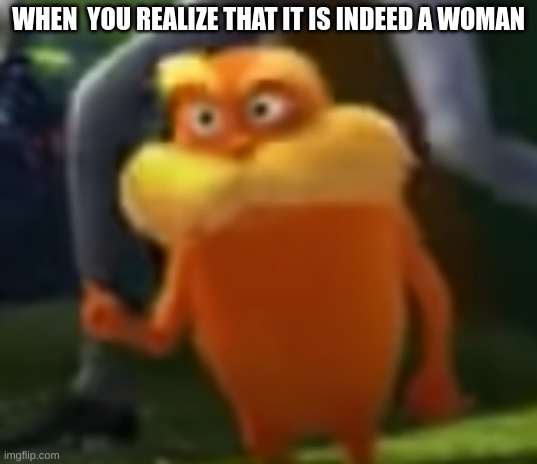 Lorax | WHEN  YOU REALIZE THAT IT IS INDEED A WOMAN | image tagged in the lorax,funny memes | made w/ Imgflip meme maker