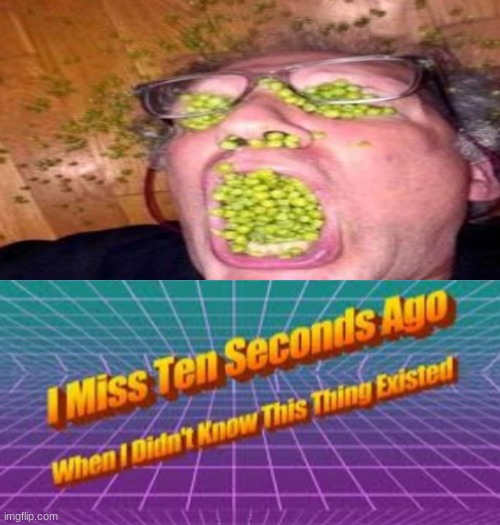 OH GOD | image tagged in i miss ten seconds ago,cursed,memes,fun,wtf,funny | made w/ Imgflip meme maker