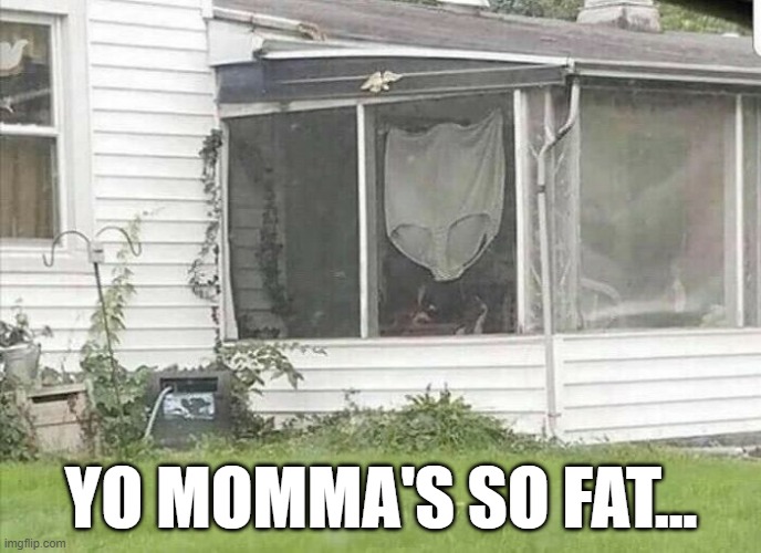 Don't Need to Finish the Joke | YO MOMMA'S SO FAT... | image tagged in fat,joke | made w/ Imgflip meme maker