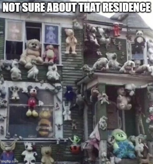 Stuffed House | NOT SURE ABOUT THAT RESIDENCE | image tagged in cursed image | made w/ Imgflip meme maker