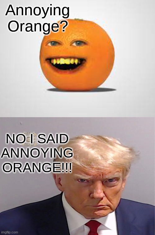orange | Annoying Orange? NO I SAID ANNOYING ORANGE!!! | image tagged in donald trump | made w/ Imgflip meme maker