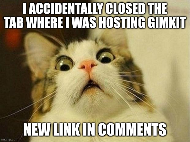 Scared Cat | I ACCIDENTALLY CLOSED THE TAB WHERE I WAS HOSTING GIMKIT; NEW LINK IN COMMENTS | image tagged in memes,scared cat | made w/ Imgflip meme maker