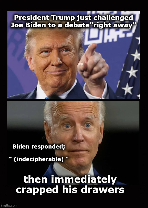 when Trump challenges Biden to a debate | President Trump just challenged Joe Biden to a debate"right away"; Biden responded;
 
" (indecipherable) "; then immediately
crapped his drawers | image tagged in trump,biden,debates | made w/ Imgflip meme maker