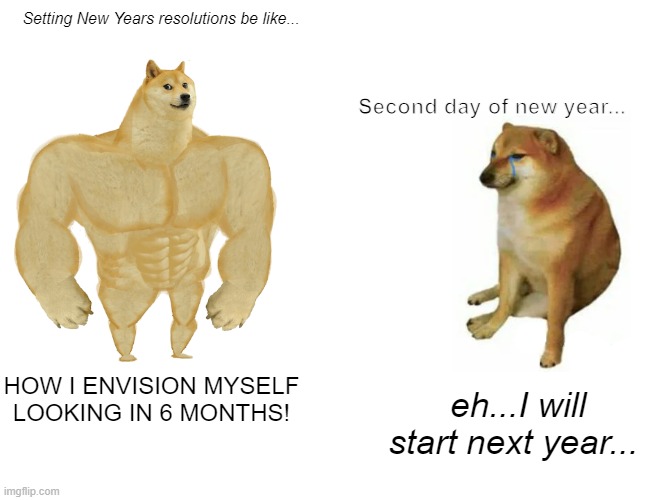 New Year Resolutions | Setting New Years resolutions be like... Second day of new year... HOW I ENVISION MYSELF LOOKING IN 6 MONTHS! eh...I will start next year... | image tagged in memes,buff doge vs cheems | made w/ Imgflip meme maker