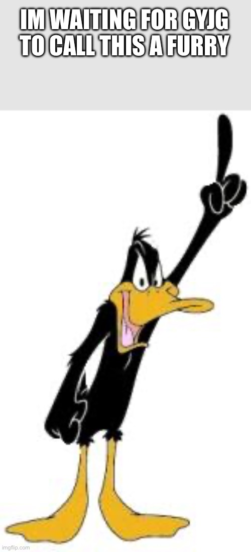 Daffy Duck | IM WAITING FOR GYJG TO CALL THIS A FURRY | image tagged in daffy duck | made w/ Imgflip meme maker