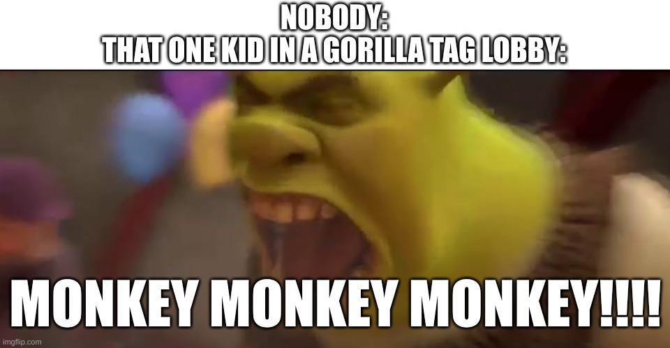 CHILL!!! | NOBODY:
THAT ONE KID IN A GORILLA TAG LOBBY:; MONKEY MONKEY MONKEY!!!! | image tagged in shrek screaming,gorilla tag,chill out,screaming | made w/ Imgflip meme maker
