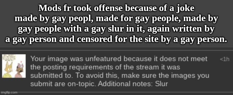 Mods fr took offense because of a joke made by gay peopl, made for gay people, made by gay people with a gay slur in it, again written by a gay person and censored for the site by a gay person. | made w/ Imgflip meme maker