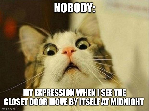 The door moved by itself | NOBODY:; MY EXPRESSION WHEN I SEE THE CLOSET DOOR MOVE BY ITSELF AT MIDNIGHT | image tagged in memes,scared cat,jpfan102504 | made w/ Imgflip meme maker