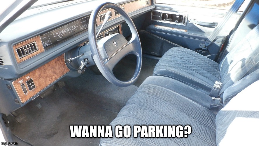 Parking | WANNA GO PARKING? | image tagged in parking,bench | made w/ Imgflip meme maker