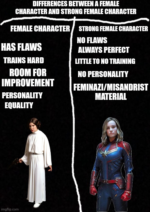 This is always a problem in movies | DIFFERENCES BETWEEN A FEMALE CHARACTER AND STRONG FEMALE CHARACTER; FEMALE CHARACTER; STRONG FEMALE CHARACTER; NO FLAWS; HAS FLAWS; ALWAYS PERFECT; TRAINS HARD; LITTLE TO NO TRAINING; ROOM FOR IMPROVEMENT; NO PERSONALITY; FEMINAZI/MISANDRIST MATERIAL; PERSONALITY; EQUALITY | image tagged in blank,feminazi,feminist,social justice warriors | made w/ Imgflip meme maker