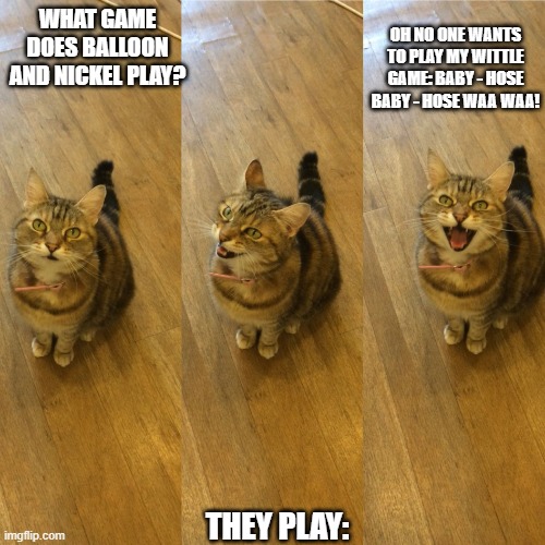 Baby - Hose Baby - Hose Waa Waa! | OH NO ONE WANTS TO PLAY MY WITTLE GAME: BABY - HOSE BABY - HOSE WAA WAA! WHAT GAME DOES BALLOON AND NICKEL PLAY? THEY PLAY: | image tagged in bad pun cat | made w/ Imgflip meme maker
