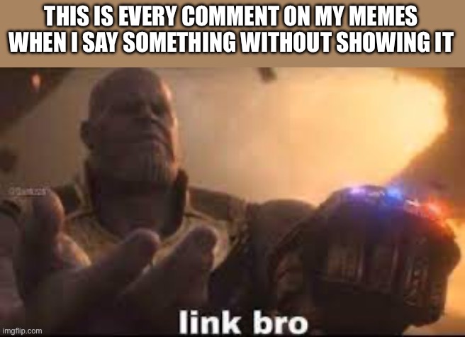 They get their links dont worry | THIS IS EVERY COMMENT ON MY MEMES WHEN I SAY SOMETHING WITHOUT SHOWING IT | image tagged in link bro | made w/ Imgflip meme maker