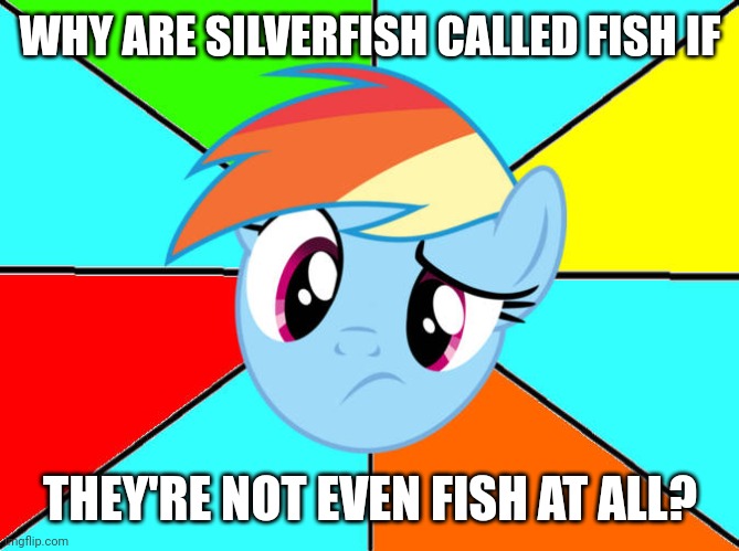 Rainbow Dash Confused | WHY ARE SILVERFISH CALLED FISH IF; THEY'RE NOT EVEN FISH AT ALL? | image tagged in rainbow dash confused,fish,confused,memes,mylittlepony,my little pony friendship is magic | made w/ Imgflip meme maker