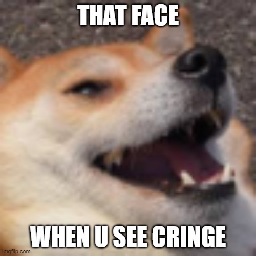 doggo | THAT FACE; WHEN U SEE CRINGE | image tagged in scream doge | made w/ Imgflip meme maker