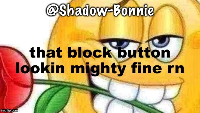 bro | @Shadow-Bonnie | image tagged in that block button lookin mighty fine rn | made w/ Imgflip meme maker