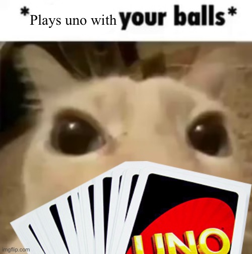 No u!!11!!11!!!111 | Plays uno with | image tagged in x your balls | made w/ Imgflip meme maker