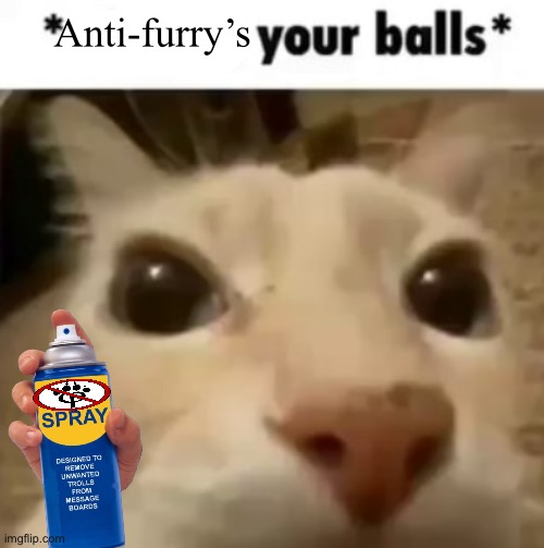 X your balls | Anti-furry’s | image tagged in x your balls | made w/ Imgflip meme maker