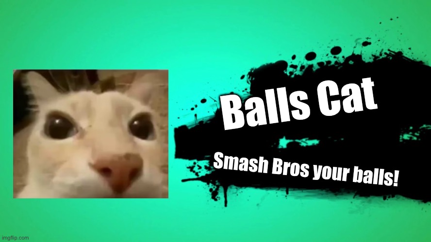 EVERYONE JOINS THE BATTLE | Balls Cat; Smash Bros your balls! | image tagged in everyone joins the battle | made w/ Imgflip meme maker